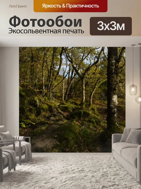 Фотообои Лес