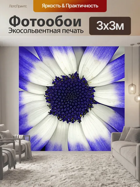Фотообои Цветок