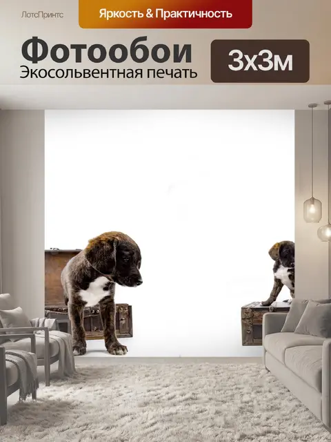 Фотообои Щенок с чемоданом