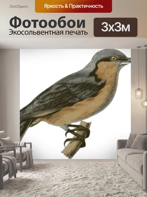 Фотообои Птица