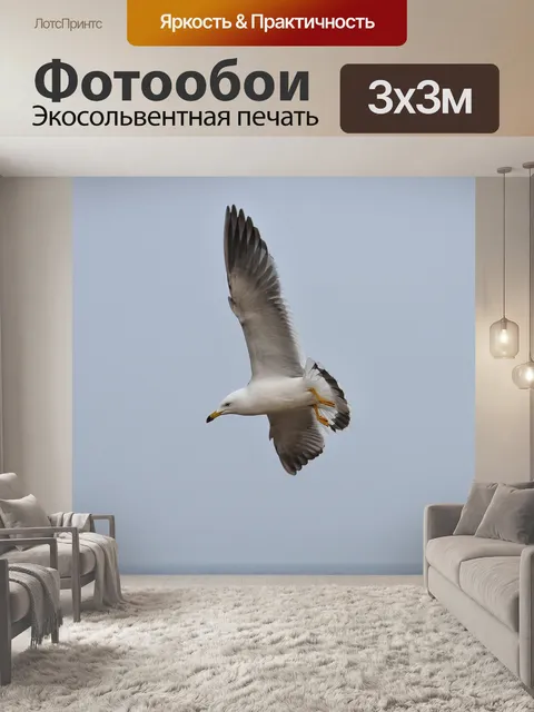 Фотообои Животное