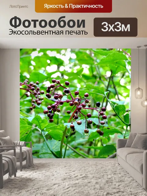 Фотообои Ягода