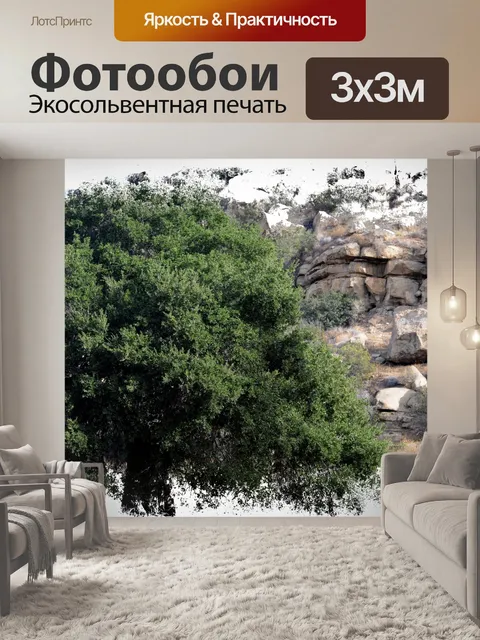 Фотообои Дерево в пустыне