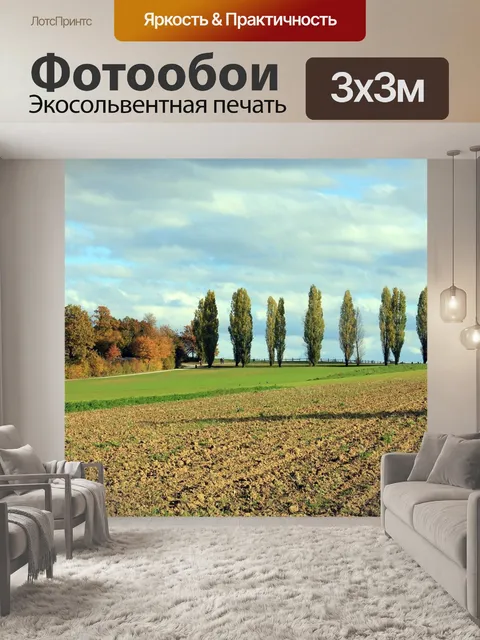 Фотообои Тополя