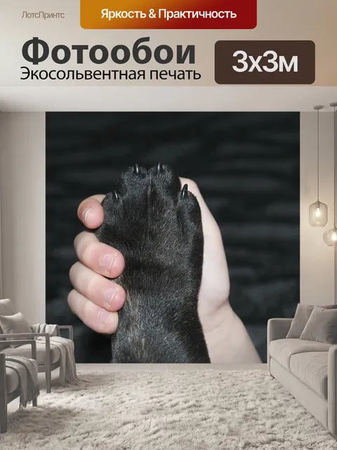 Фотообои Любовь