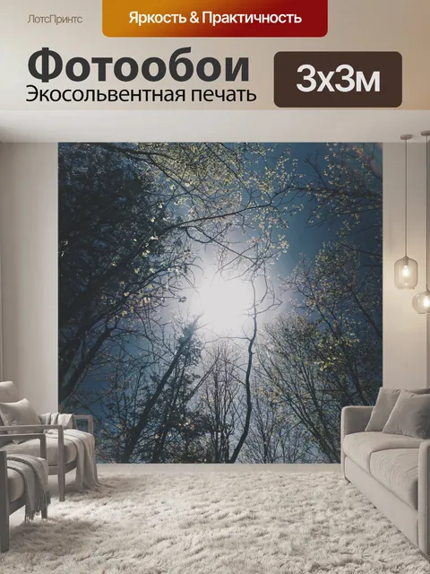 Фотообои Деревья