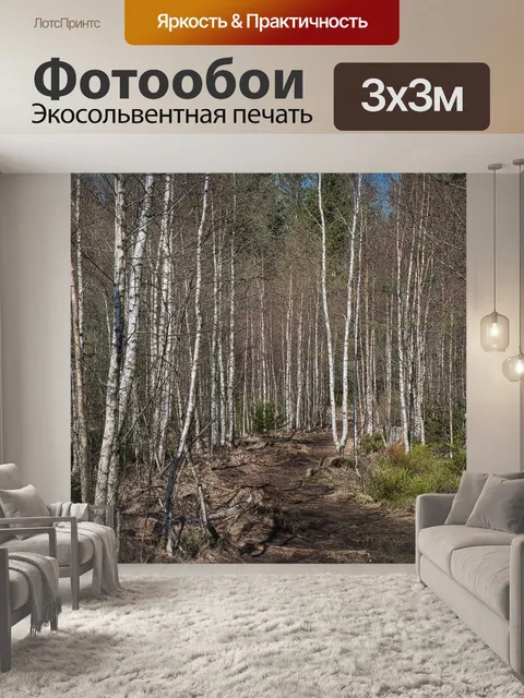 Фотообои Лес