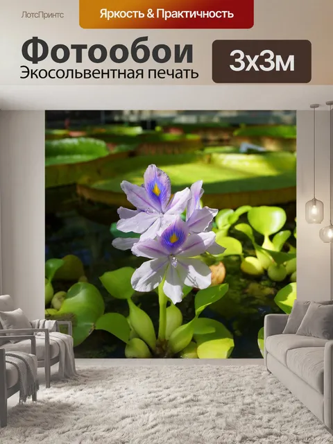 Фотообои Цветы