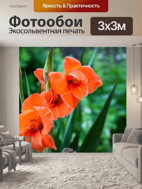 Фотообои Цветы