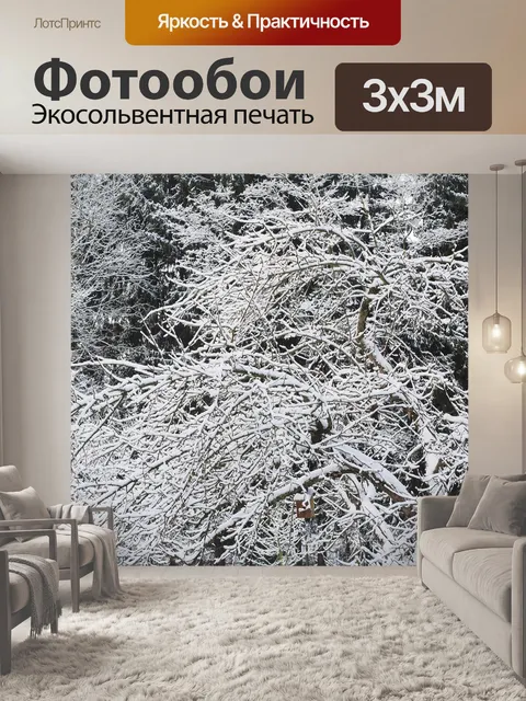 Фотообои Зима