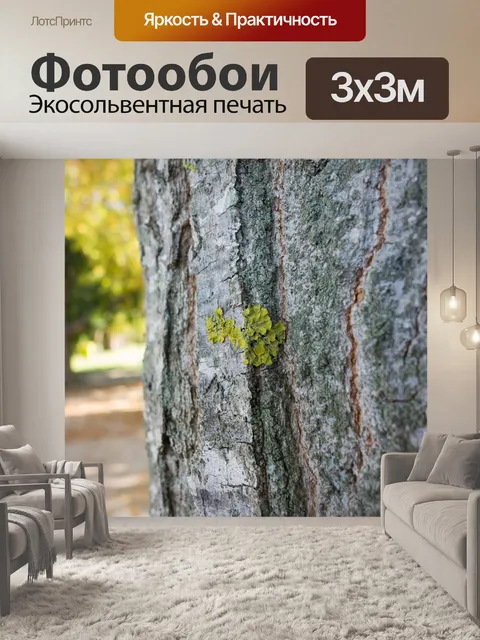 Фотообои Дерево