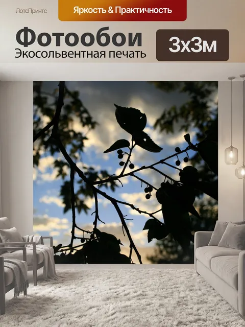 Фотообои листва веб фоне неба