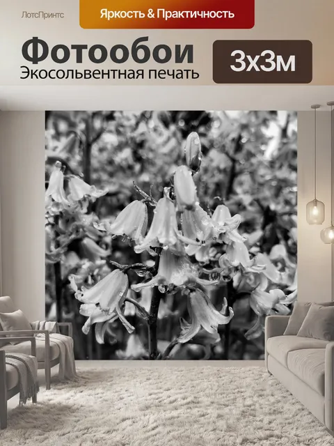 Фотообои Черное и белое