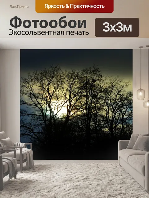 Фотообои Небеса