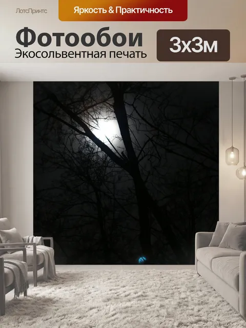 Фотообои Луна