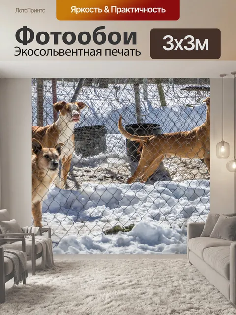Фотообои Собаки