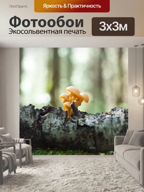 Фотообои Грибы