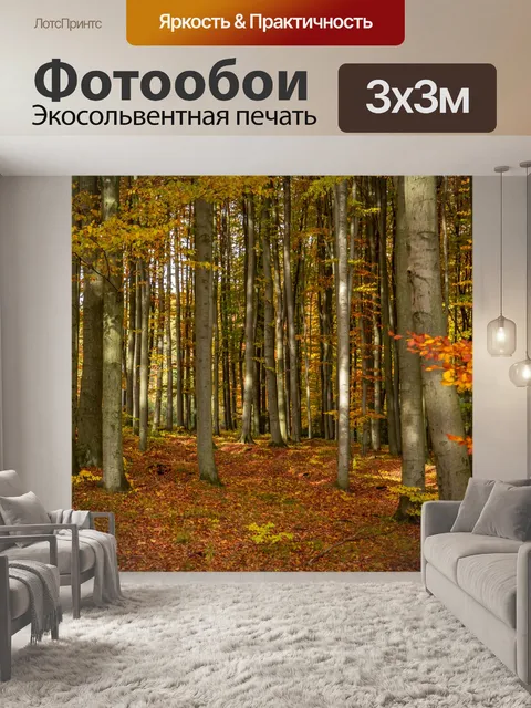 Фотообои Осенний лес