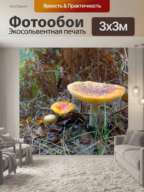 Фотообои Осень