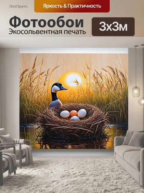 Фотообои гусыниное гнездо, заполненное яйцами, среди высоких трав на фоне заката