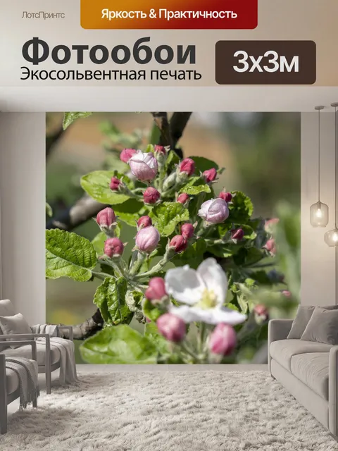 Фотообои Цветок