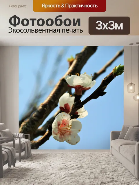 Фотообои цветы на стебле