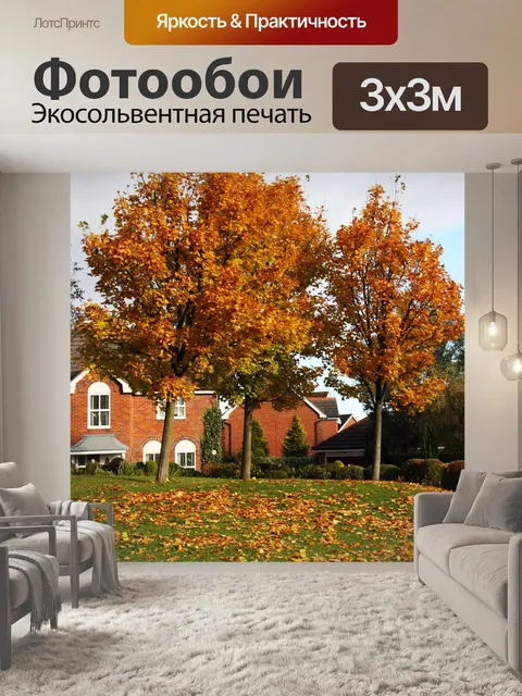 Фотообои Осенний Scene