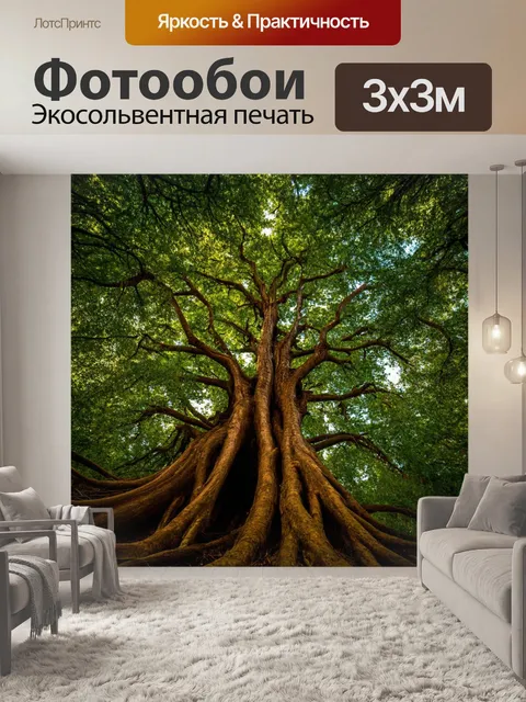 Фотообои лес с древними деревьями, у которых стволы скручены и исполосованы