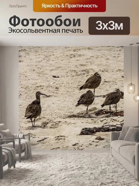 Фотообои куликов