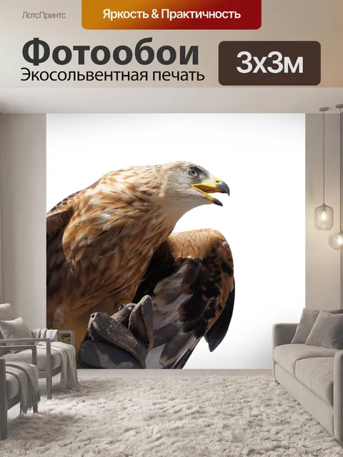 Фотообои Изолированные