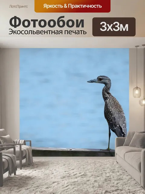 Фотообои Птица