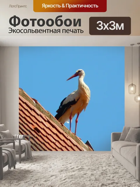 Фотообои Аист
