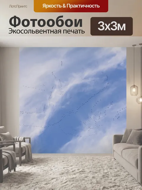 Фотообои Перелетные птицы