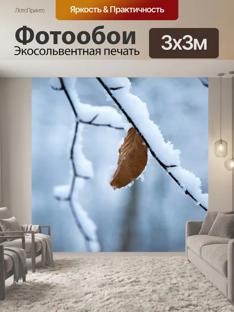 Фотообои Снежный филиал