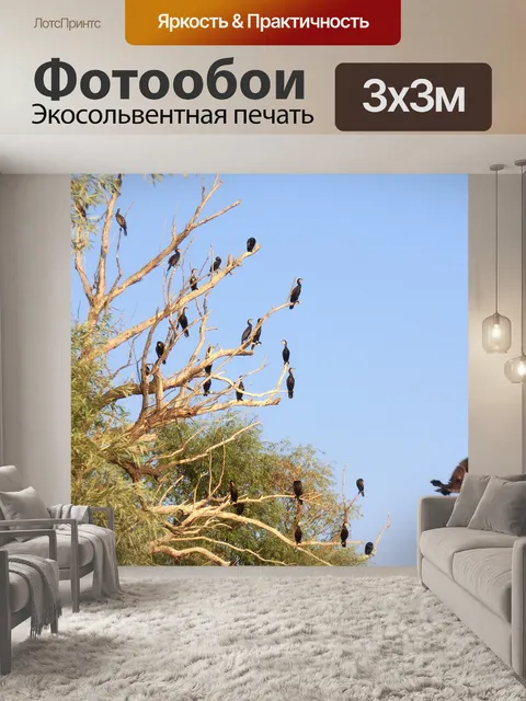 Фотообои Птицы