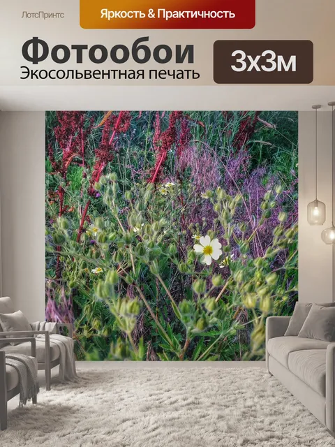 Фотообои Цветы
