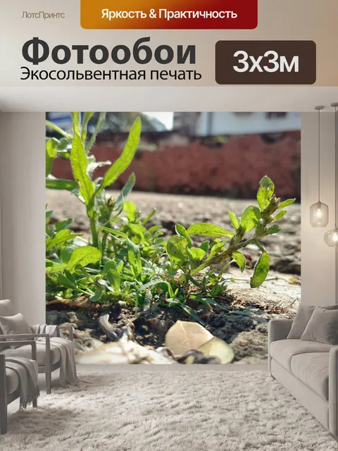 Фотообои Асфальт