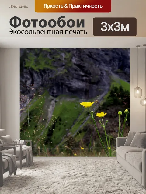 Фотообои Цветы