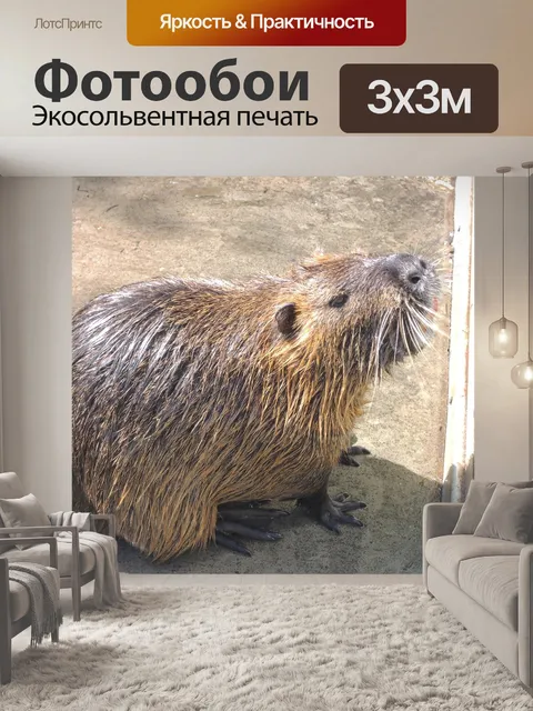 Фотообои Выдра