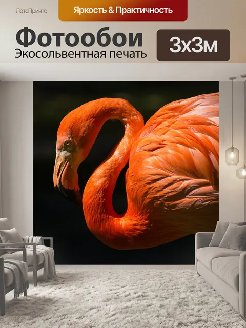 Фотообои Фламинго
