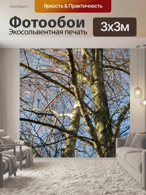 Фотообои Деревья