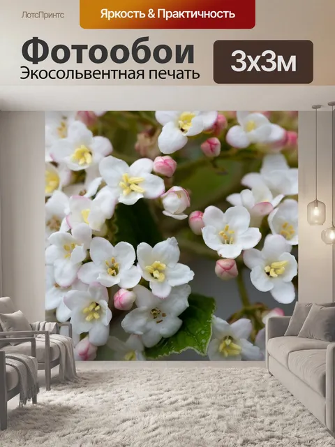 Фотообои Цветы