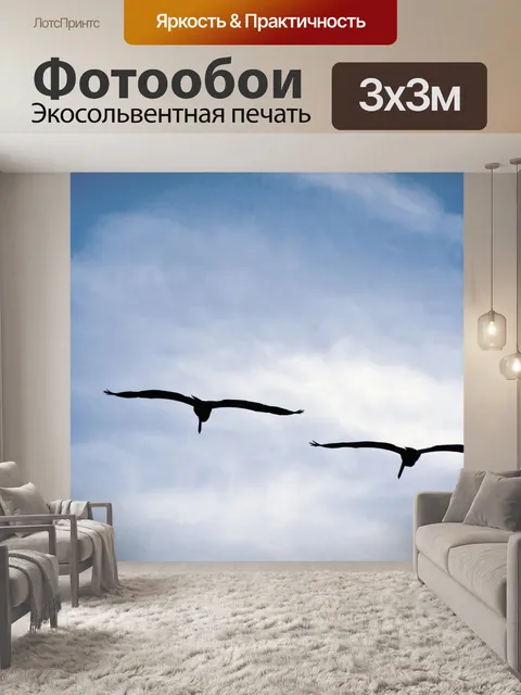 Фотообои Две птицы Летающие
