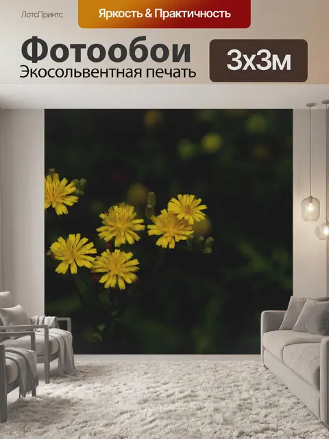 Фотообои Маленькие желтые одуванчики