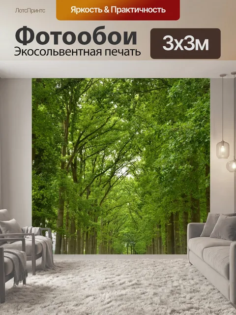 Фотообои Лес