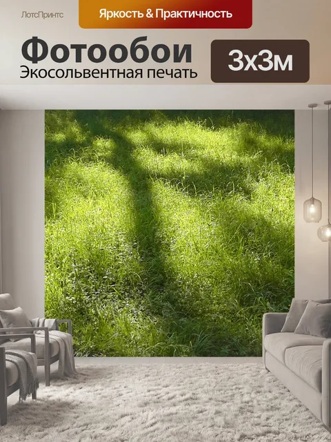 Фотообои Тень