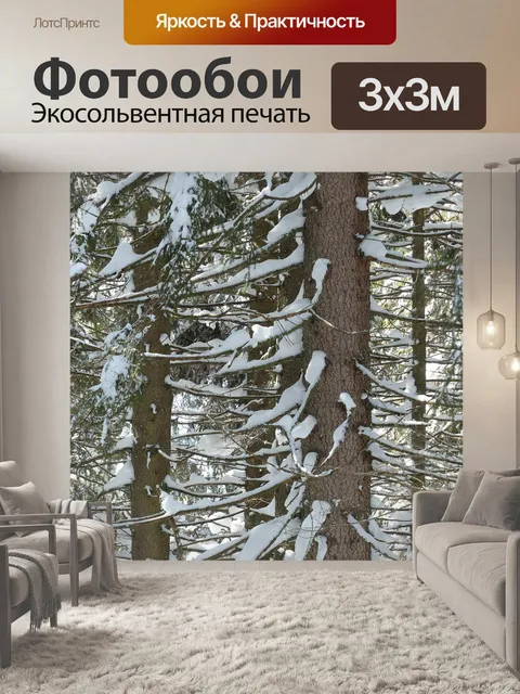Фотообои Ель