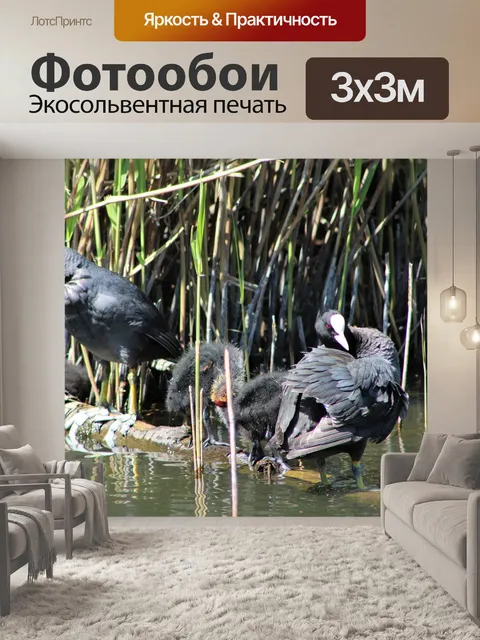 Фотообои Птицы