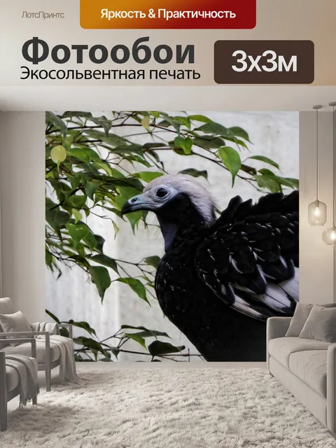 Фотообои Черная птица Белая голова