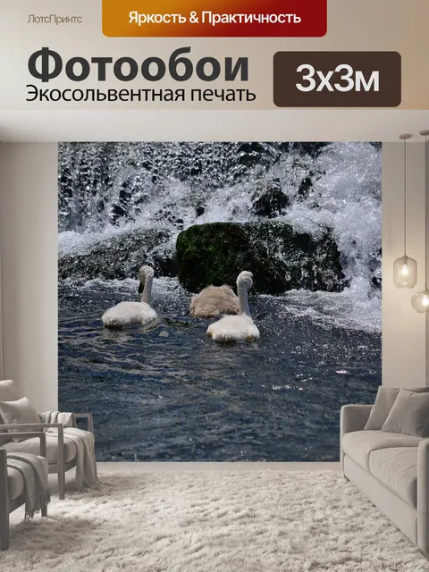 Фотообои Лебеди